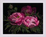 (image for) Lace Peonies
